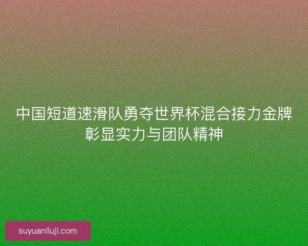中国短道速滑队勇夺世界杯混合接力金牌彰显实力与团队精神
