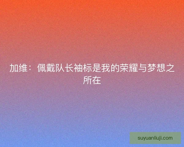 加维：佩戴队长袖标是我的荣耀与梦想之所在