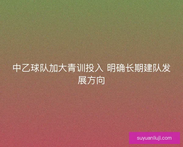 中乙球队加大青训投入 明确长期建队发展方向
