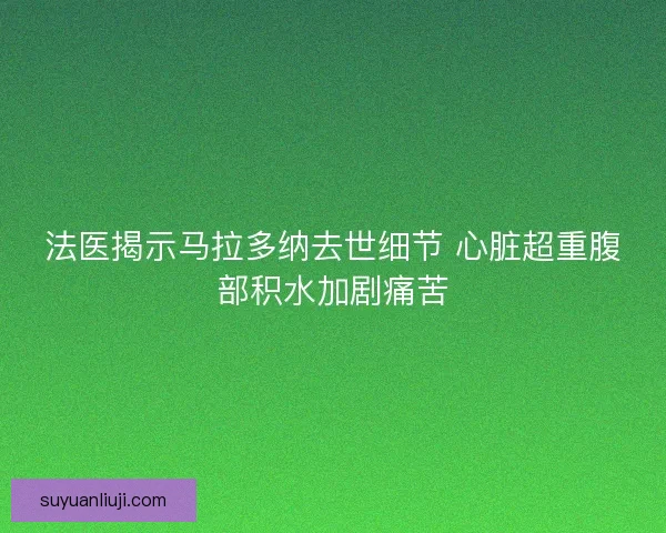 法医揭示马拉多纳去世细节 心脏超重腹部积水加剧痛苦
