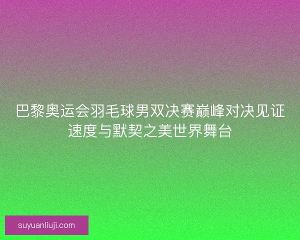 巴黎奥运会羽毛球男双决赛巅峰对决见证速度与默契之美世界舞台